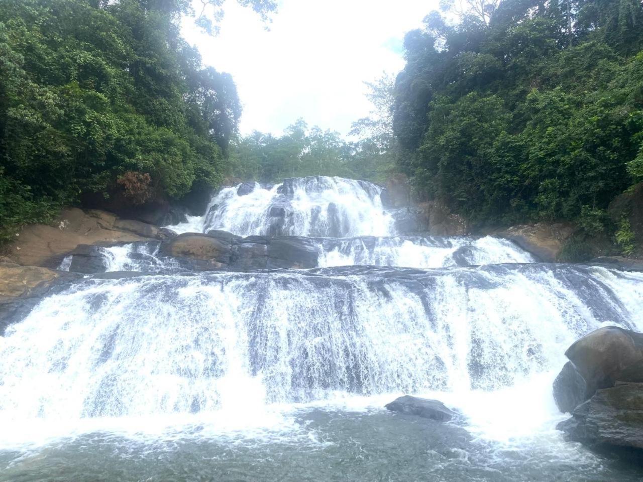 Sinharaja Riverside Deniyaya Esterno foto
